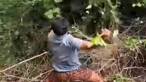Funny video
