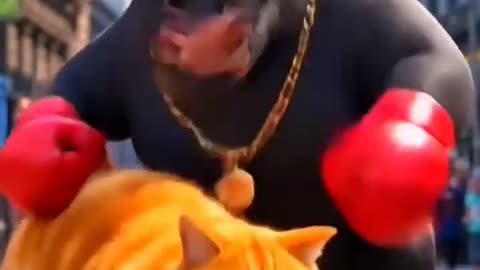 Bull and cat funny video