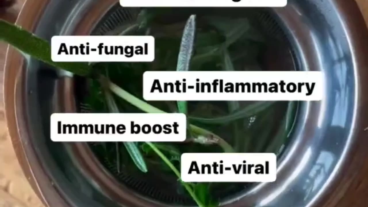 These powerful plants can be used fresh or dried.