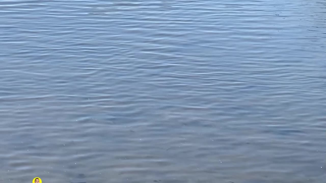 DO YOU SEE ANY FISH?