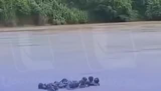 Video militares en entrenamiento