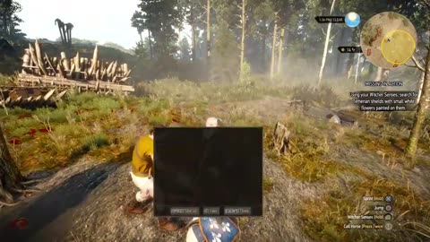 The Witcher 3: Wild Hunt - Missing in Action