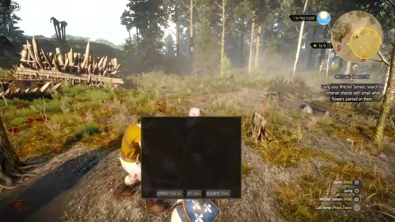 The Witcher 3: Wild Hunt - Missing in Action