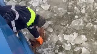 The captain saw a dog in the icy waters and told the entire crew to help get the dog out.