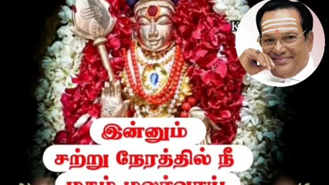 ONE SUN ONE TMS LEGEND M.THIRAVIDA SELVAN SINGAPORE TMS FANS 2025