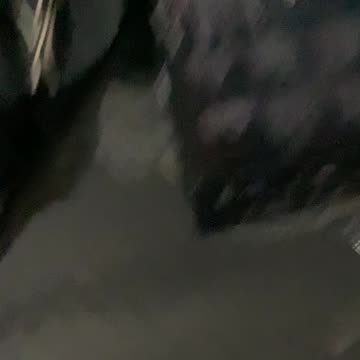 I got a gift from Chris peepz