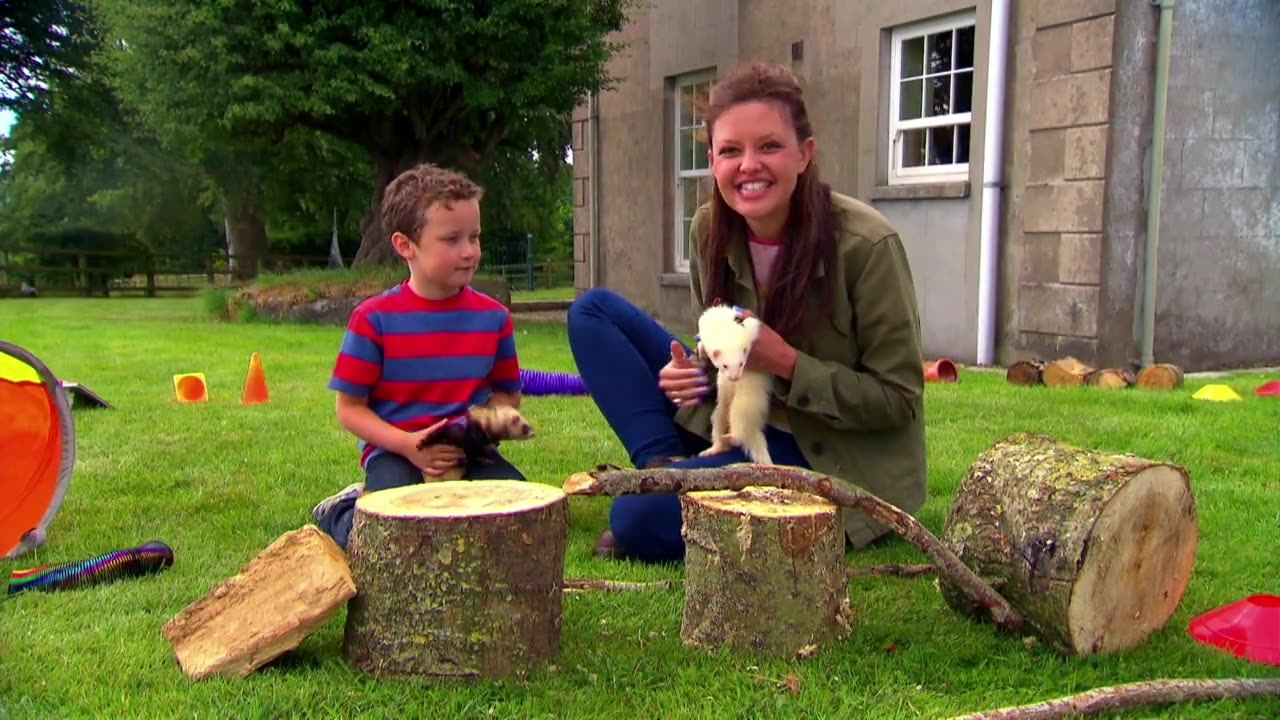 Mi Mascota y Yo - T1E08 - Hurones