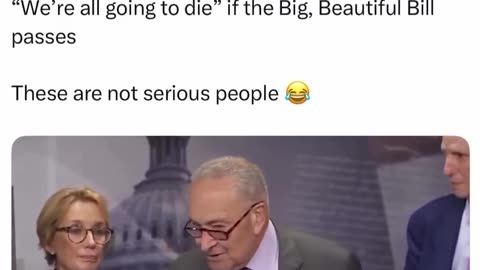 The Democratic Party is a disaster