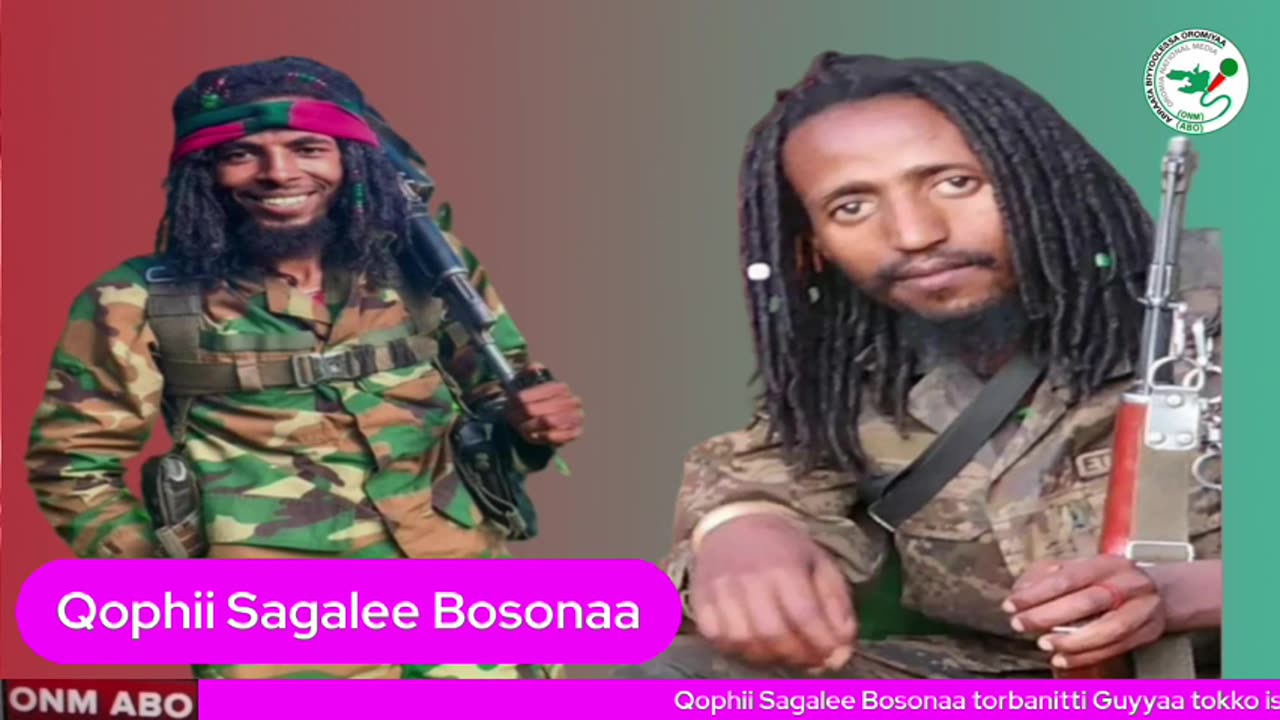 Qophii Sagalee Bosonaa ONM-ABO Bitootessa 29-2025 itti dhiyaadhaa!