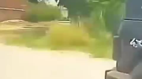 Thar Vs Audio