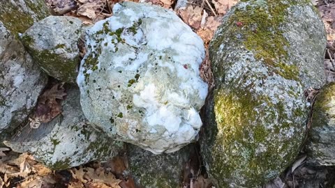 Quartz Rock