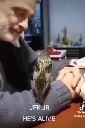 JFK Jr.is ALIVE?