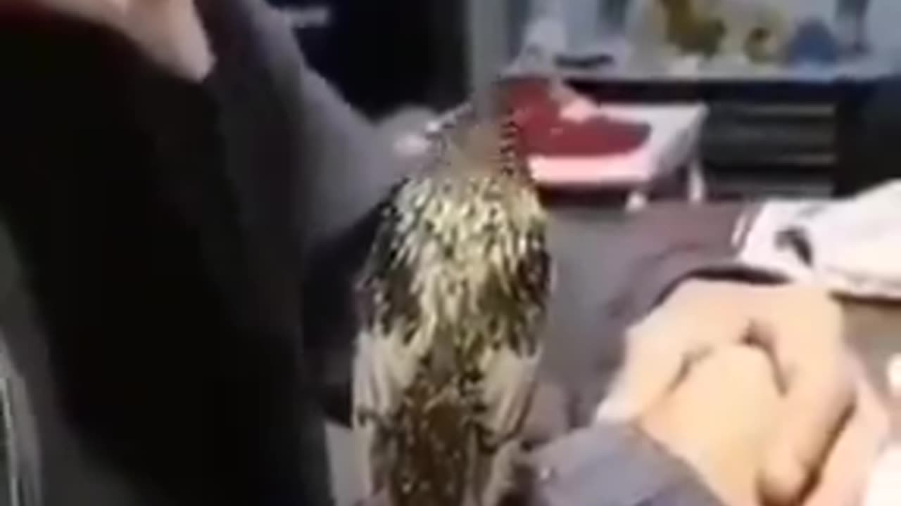 JFK Jr.is ALIVE?