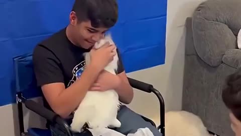 Kids Reconnect With Past Pets as Plushies