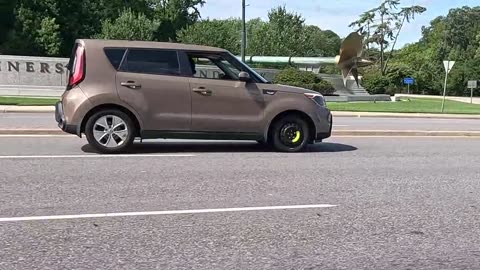 Kia "Driver" Almost Got Crushed leaving 7-11 trying to eat his lollipop