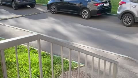 Stair Railing Slide Doesn't Go To Plan