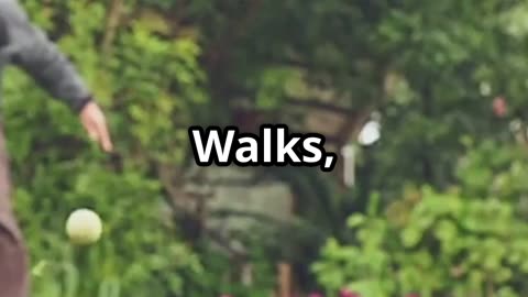 If Dogs Could Talk Their 8 Unspoken