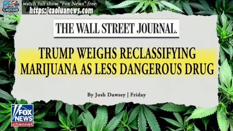 FOX and Friends 8AM - 8/11/2025 - caoluanews.com