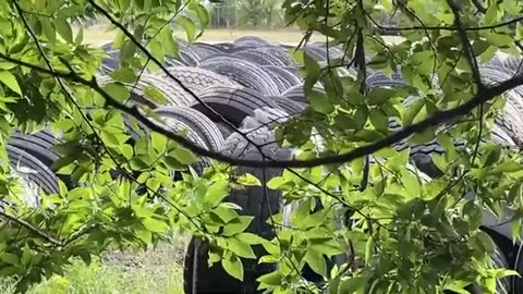 Neighborhood that fought to get porta-potties flushed from their area now has new problem