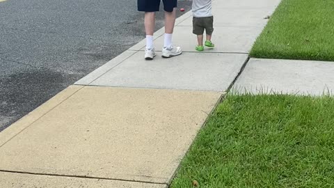 Just a walk
