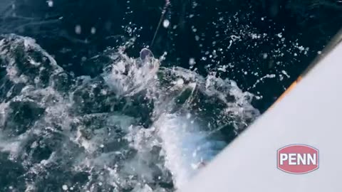 Searching for Massive Wahoo in Texas_part3