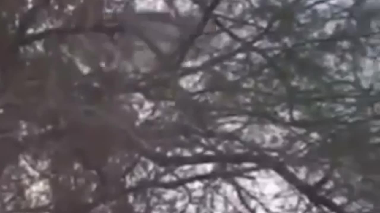 This is how the government create UFO holograms