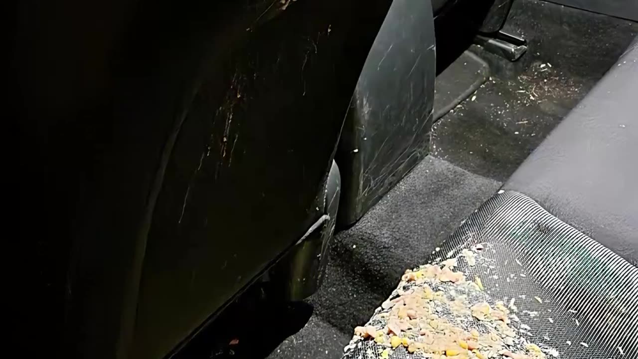 When 800lbs Of Friendship Has A Slap Fight