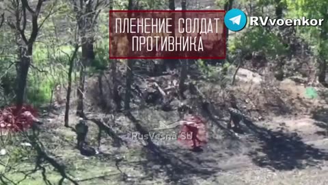 Fierce Clashes Near Pokrovsk: Russian ‘🅾️’ Forces Advance, Capture Ukrainian Troops