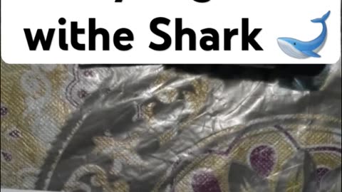 How to draw easy a great white shark