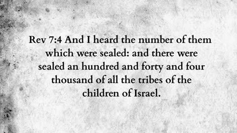 Martus Ministry -381- Naming animals