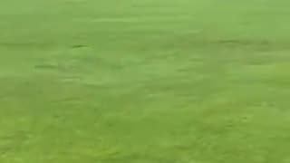 Man spotted on Bolton field, fishing for pigeons. Yes, you read it correctly.