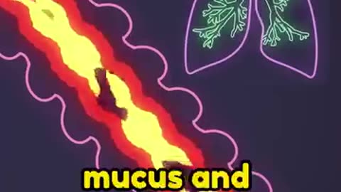 COPD? This Discovery Leaves Pulmonologists Amazed!