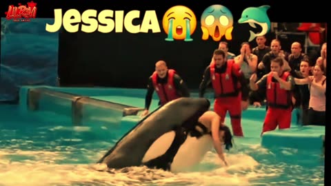 Rihana-Trainer Jessica Radclifte killed in an orca whale attack