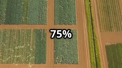 🐝 Pollination Power How Bees Keep Our World Fed 🌻🌍