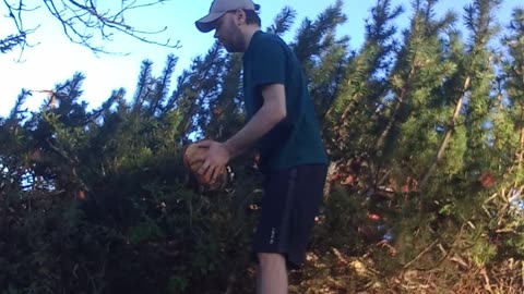 🌲Full Body Workout with a Log