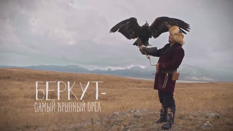 ОХОТА С БЕРКУТОМ