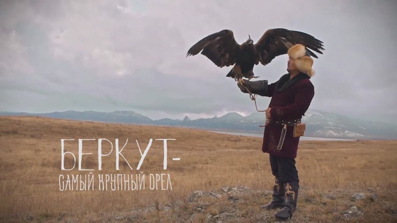 ОХОТА С БЕРКУТОМ