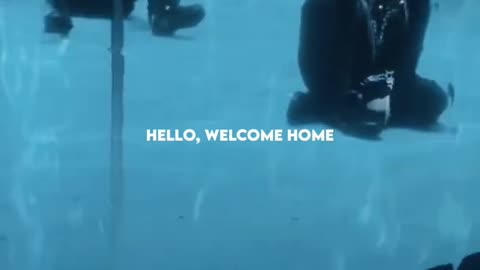 Song