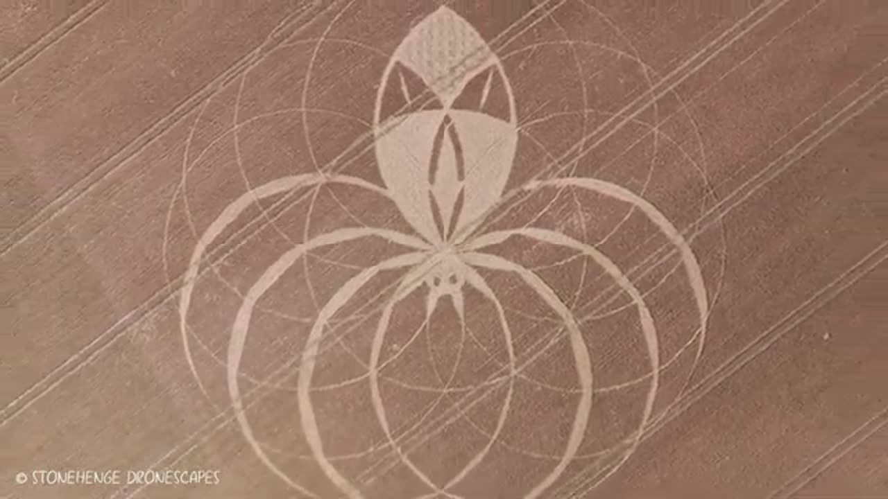 Crop Circle | Cerne Abbas Dorset | 10/07/25