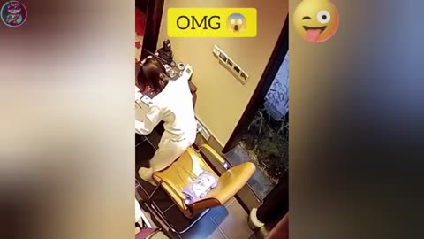 Funny Cats And Dogs 2025😂