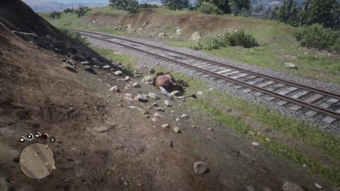 Red Dead Redemption 2 68685457588 OHIO 1889