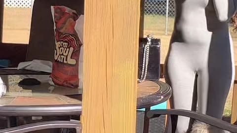 The gossip girls is spiting and breaking phones, Liyah calls the cops as usual