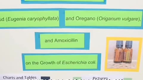 Oregano oil