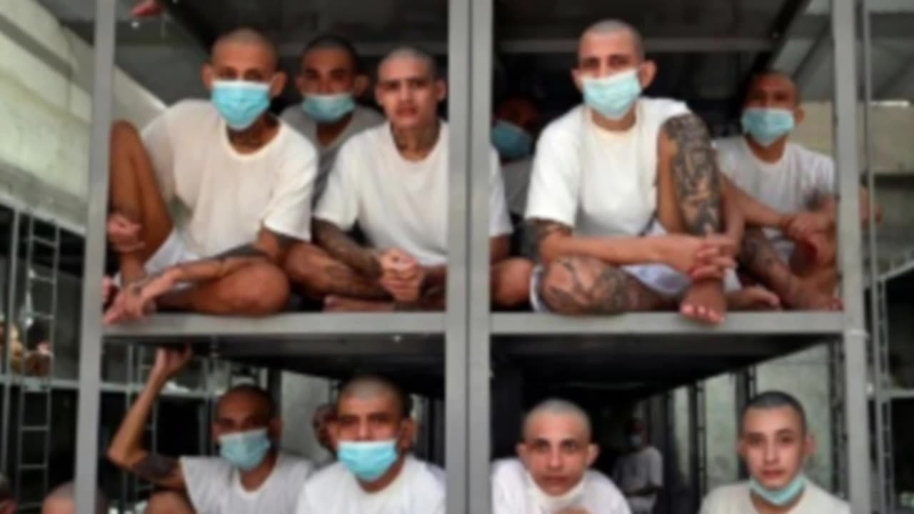 Karoline Leavitt Rebukes The Atlantic’s Portrayal of Deported MS-13 Member