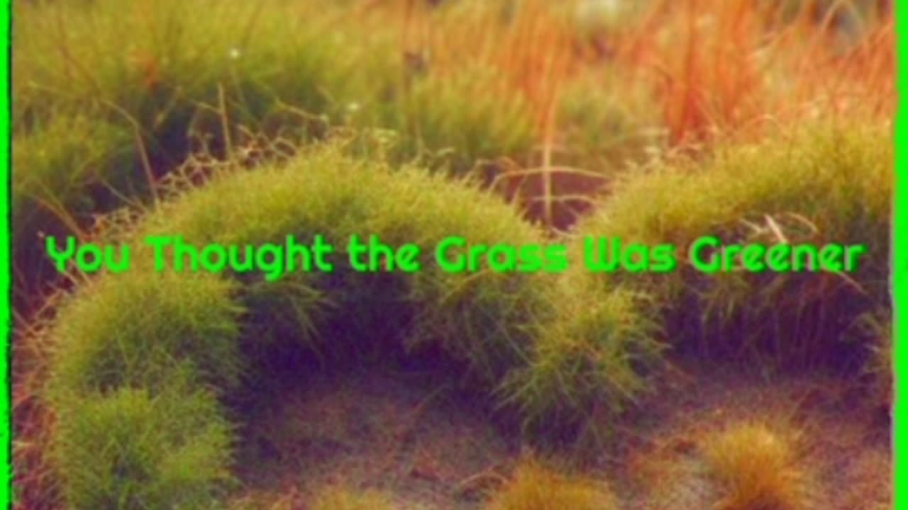 You Thought The Grass Was Greener