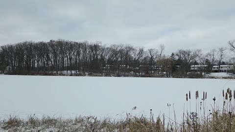 Frozen Neighborhood Pond