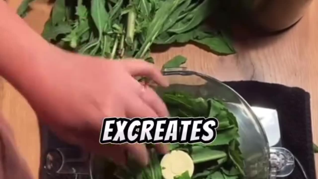 🌿Say hello to a powerful pain-killer also known as Lactuca virosa