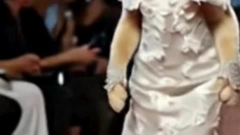 "Fashionis-cat Red Carpet"