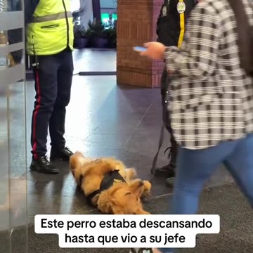 Se acabó el descanso