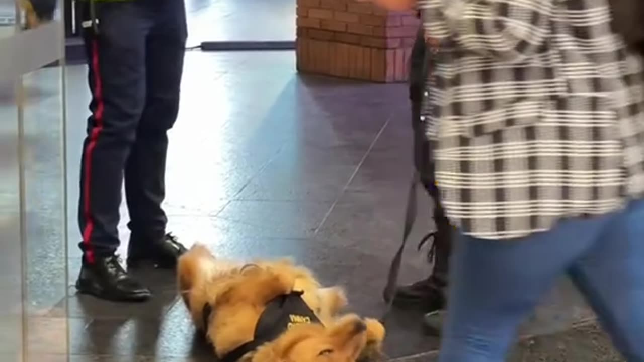 Se acabó el descanso